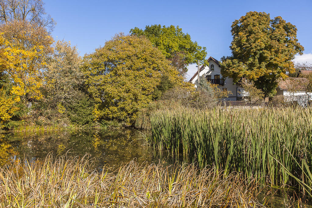 Pension U Dvou čápů Chocerady Exterior foto